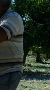 Adam böcek ilaçlarını hortumla, bahçeyle, yeşil ağaçlarla ilaçlıyor, bahçeye ilaç sıkıyor, traktörle bahçeyle uğraşıyor.