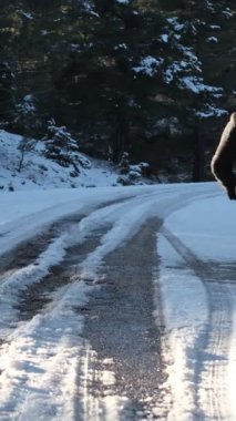 Karlı orman yolunda koşan, ormanda spor yapan taşlarla ve kozalaklı ağaçlarla çevrili genç bir adamın görüntüsü.