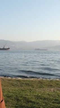 Genç ve güzel bir kadın güneşli bir pazar günü körfezdeki parkta vakit geçiriyor. Sahil kenti parkında, arkada gemiler var.