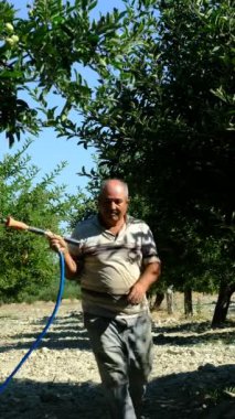 Yaşlı çiftçilik, bahçıvanlık, bahçecilik, yeşil ağaçlar püskürtme, bahçede ilaç püskürtme, traktörle bahçıvanlık.