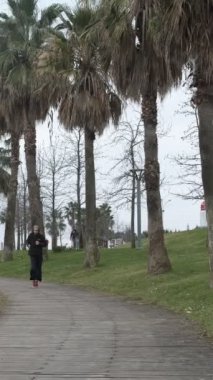 Palmiye ağaçlarıyla kaplı plaj bandında koşan genç adam, sonbaharda müzik dinleyerek tempoda koşuyor.