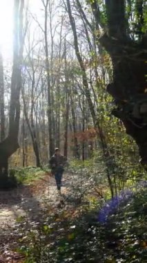 Kampçı çocuk ormanda yolda yürüyor. Sırt çantalı genç bir adam güneşli bir ormanda yapraklı bir yolda yürüyor.