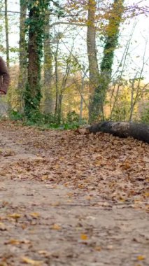 Genç bir adam ağaç kütüğünden kalkar ve ormanda yürür. Dinlenmiş adam ayağa kalkar ve gider.