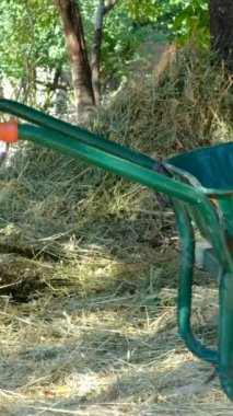 El arabasına ot yükleyen bir adam, el arabasında ot taşıyan bir çiftçi, hayvan yemi taşıyan küçük bir çiftçi.