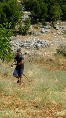 Çiftçi koleksiyonu damlaları, bahçedeki damlaları toplayan adam bahçe sulama sistemleri, tarım işleri.