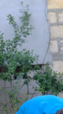 Tarla kazan genç çiftçi, köyde bahçıvanlık yapan adam, çapalama bitkileri, tarım işi, doğal hayat.