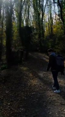 Sonbaharda ormanda yürüyen genç bir sırt çantalı adam döner ve arkasına bakar. Yeşil ağaçların arasında doğa muhafızı.