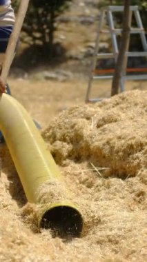 Traktörle saman çekme manzarası, saman biçme makinesi kullanma, saman toplama işi işçileri, sarı saman yığınını düzenleme, ilkel tarım