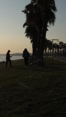 Gün batımında parkın siluet görüntüsü, akşamları uçan kuşların ve insanların mutluluk görüntüsü Palm Park 'ta, gün batımında deniz kenarında.