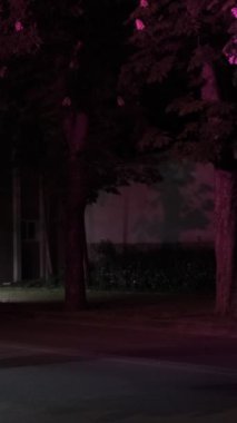 Gece sokakta yürüyen genç bir kız resmi, kaldırımdan geçen yayalar, sessiz ve karanlık yoldan geçen genç bir kız.