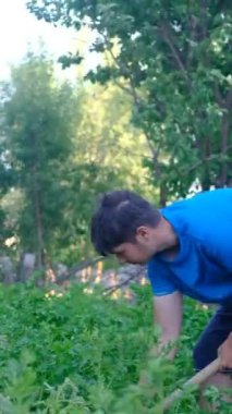 Yeşil çim kazan genç adam, çimleri kazan çiftçi, tarlada çalışan genç adam.