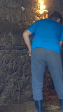 Ahırı temizleyen genç adam, ahırda süt sığırları, ahırda hayvan gübresi temizleyen çiftçi, tarım ve hayvancılık yapan çiftçi.