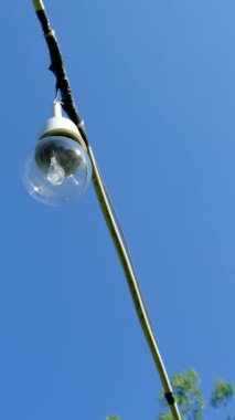 Lambaların halatlardaki görüntüsü ağaçlarda asılı, ışıklarla bağlanmış halat, açık gökyüzünün görüntüsü