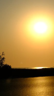 Siluet arabalar videolar, kuraklık ve sıcaklık, değişen iklim ve dünyamız, otoyolda siyah sarı siluet araç trafiği