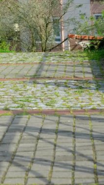 Yürüyen iki genç adamın bacakları, parkta yürüyen bir gencin görüntüsü, merdivenlerden çıkan adamlar.