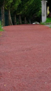 Yeşil parkta yürüyüş yolunda koşan ağaç delikanlıları, parkta spor yapan gençleri farklı açılardan gören insanlar.