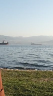 Genç ve güzel bir kadın güneşli bir pazar günü körfezdeki parkta vakit geçiriyor. Sahil kenti parkında, arkada gemiler var.