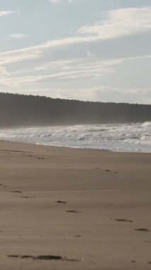 İnsanlar parlak güneş ışığı ve deniz dalgaları eşliğinde spor yapıyor. Turistler sahilde koşuyor.