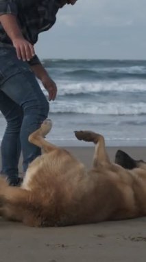Köpek ve genç adam plajda oynuyorlar. İnsanlar ve hayvanlar arasında sıcak bir etkileşim var.