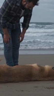 Man and Dog Beach, MaN ve Dog Playing Beach. Yüksek Kalite Görüntü
