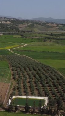 Yol kenarına uzanan yeşil bir tarlada bahçe ve koyun ağılının hava aracı görüntüsü, toprak ve dağların manzarası.