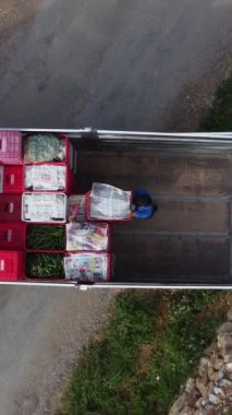 Serada yetiştirilen tarım ürünlerini paketlenmiş sandıkların içinde taşıyan işçilerin genel bakış açısı, onları kamyona taşırken,