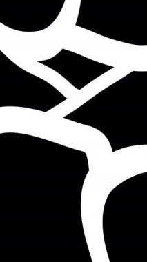 Soyut siyah-beyaz animasyon deseni. Karmaşık çizilmiş şekiller. Yüksek kaliteli animasyon. 4k.