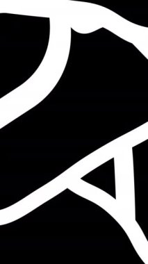 Soyut siyah-beyaz animasyon deseni. Karmaşık çizilmiş şekiller. Yüksek kaliteli animasyon. 4k.