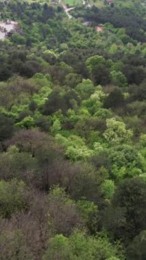 Drone Lush Forests Of Bursa, Drone view of the city of Bura established among lush trees, forest next to the city of Bursa