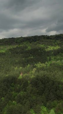 Aerial lush mountain landscape, wide green woodland drone view, beautiful forests of bursa drone footage, deep natural areas between green forest and blue sky