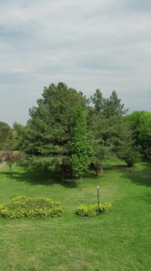 Bursa botanical park, Soganli botanical park with its century-old plane trees, green space theme on recycling, natural place to be used for special day shoots