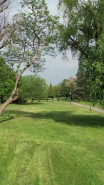 Greenery special park, green space to be used for photo shoots on special days and nights, relaxation weekend fun with plain green area