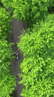 Aerial green wooded park, drone view of bursa soganli park, public park in tea garden and greenery, natural place for special day shoots