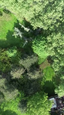 Aerial green dirt road, greenery by the lake weekend activity areas, green areas for families to rest and spend time