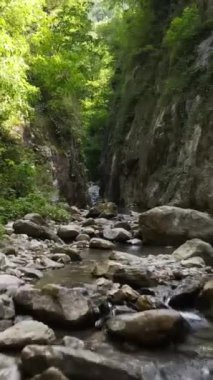 Kanyon nehri havadan manzaralı genç bir adam, doğa yeşil kayaların arasında yürüyor, genç bir kaşif.