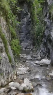 Kanyon nehri havadan manzaralı genç bir adam, doğa yeşil kayaların arasında yürüyor, genç bir kaşif.