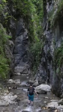  Kanyon nehri havadan manzaralı genç bir adam, doğa yeşil kayaların arasında yürüyor, genç bir kaşif.