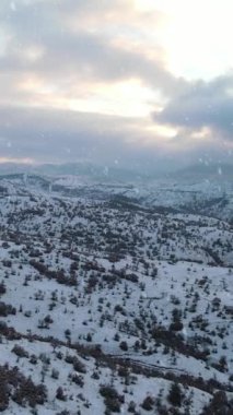 Orman karlı dağ drone manzarası, kış orman ağaçları arasında, içinde karla kaplı ağaçlar, ağaçlarda karla kaplı peri ormanı var.