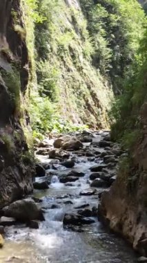  Kanyon nehri havadan manzaralı genç bir adam, doğa yeşil kayaların arasında yürüyor, genç bir kaşif.