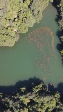 İnanılmaz güzel bir göl, ormanlık bir park, yeşil doğal bir çevre, dağlar arasındaki doğal göl manzarası.