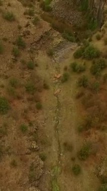 Havadan akan nehir kanyon manzaralı turizm beldesi, uçurumların manzarası, yeşil tepeler, kuru çimenler ve çalılar.