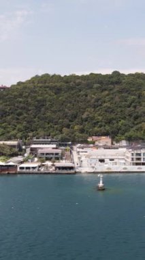 İstanbul Boğazı güneşli bir yaz günü, şehir manzarası, yeşil tepe, doğal çevre