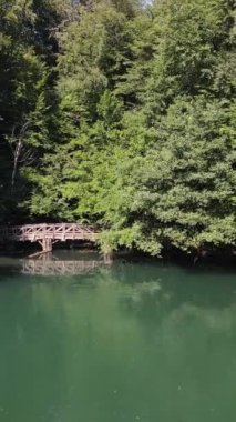 Ormanlık parkı olan inanılmaz güzel bir göl, ilginç yeşil suyu olan bir dağ havuzu Yedigoller Milleti Parkı, Bolu Türkiye