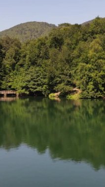 Ormanlık parkı olan inanılmaz güzel bir göl, ilginç yeşil suyu olan bir dağ havuzu Yedigoller Milleti Parkı, Bolu Türkiye