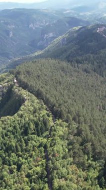 Bosna Trebeviç Dağı 'nın hava aracı görüntüsü, dağ ve vadilerin orman manzarası