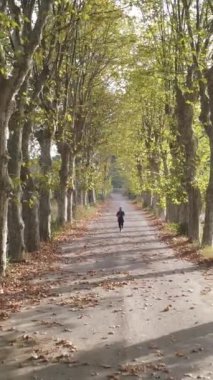 Sonbahar parkında koşan bir sporcu yeşillik hava aracı manzaralı bir patikada koşar.