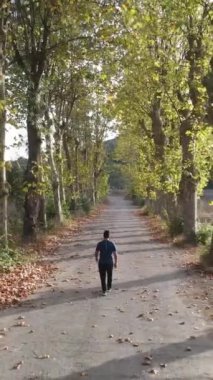 Manzaralı yolda yürüyen adam sonbahar insansız hava aracı tepemizde yüksek kalite, güzel sonbahar sonbahar renkleri vadi manzarası boyunca yol ve renkli düşen ağaçlar.
