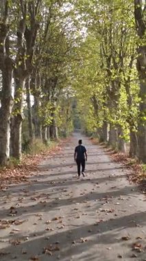 Manzaralı yolda yürüyen adam sonbahar insansız hava aracı tepemizde yüksek kalite, güzel sonbahar sonbahar renkleri vadi manzarası boyunca yol ve renkli düşen ağaçlar.
