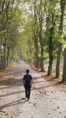 Manzaralı yolda yürüyen adam sonbahar insansız hava aracı tepemizde yüksek kalite, güzel sonbahar sonbahar renkleri vadi manzarası boyunca yol ve renkli düşen ağaçlar.