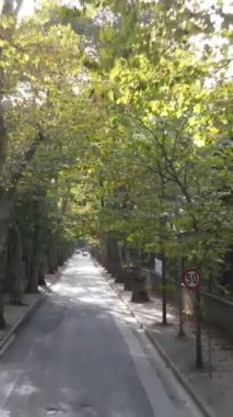 Hava görüntüsü insansız hava aracı ağaç yolu trafiği, eski taş duvarlar ve orman yolu.